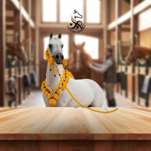 زينة الخيل العربي