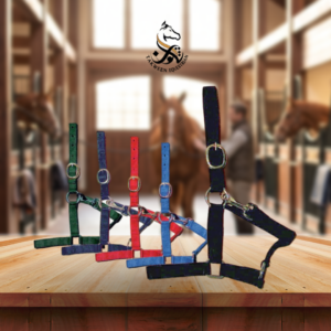 رشمه جميع المقاسات