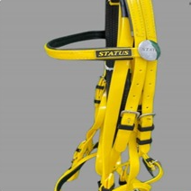 لجام استيتس