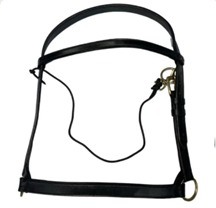 لجام تدريب عربي